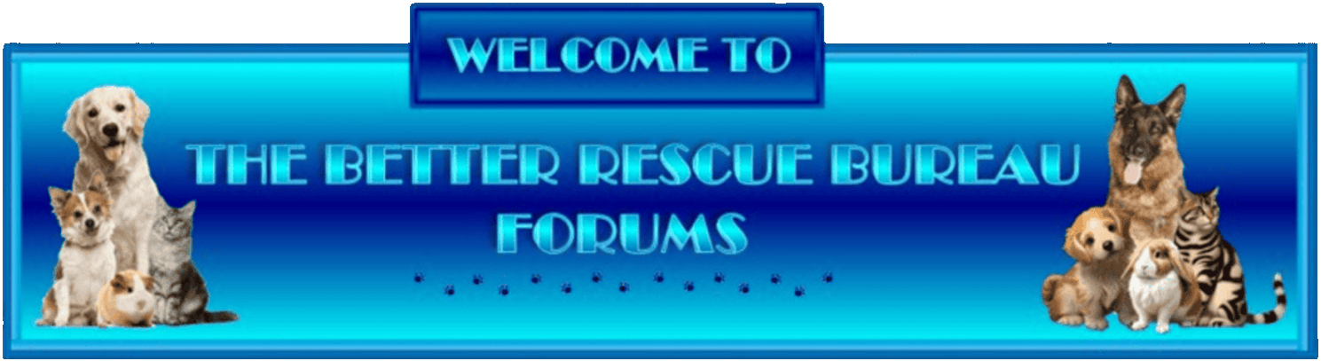 TBRB FORUMS