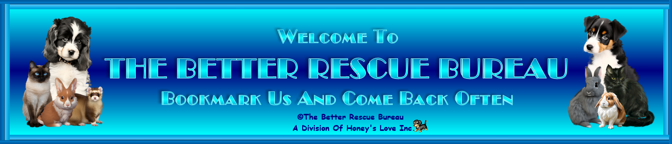 Screenshot 2025-07-23 at 21-11-31 Untitled Page