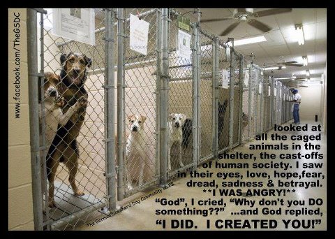 600293_322579364488980_1581649964_n-1