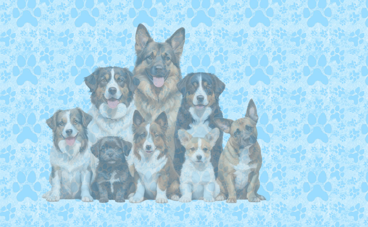 Screenshot-2025-03-06-at-19-25-47-Untitled-Page