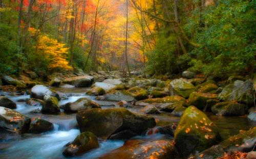 00388_fallintennessee